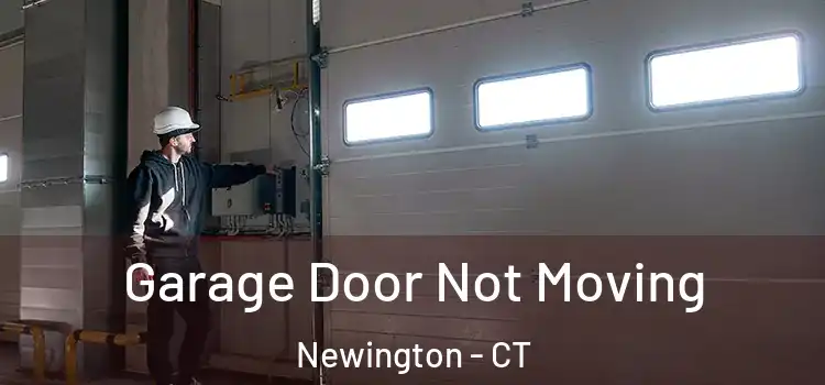  Garage Door Not Moving Newington - CT