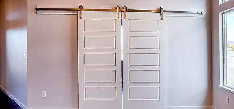 Glass Barn Door with Installation Hardware Kit Newington